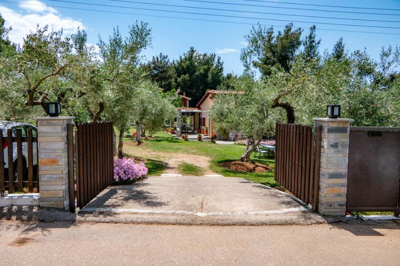 Small Paradise Nikiti  Exterior photo